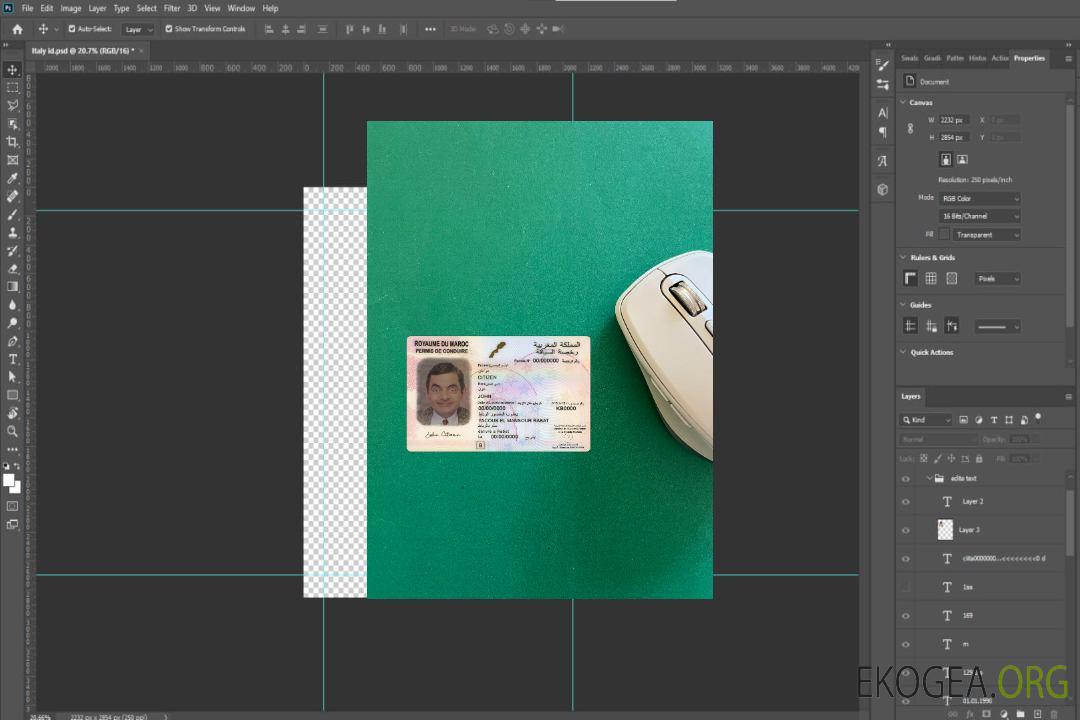 Photolook permis de conduire marocain recto template Photolook permis de conduire marocain recto template
